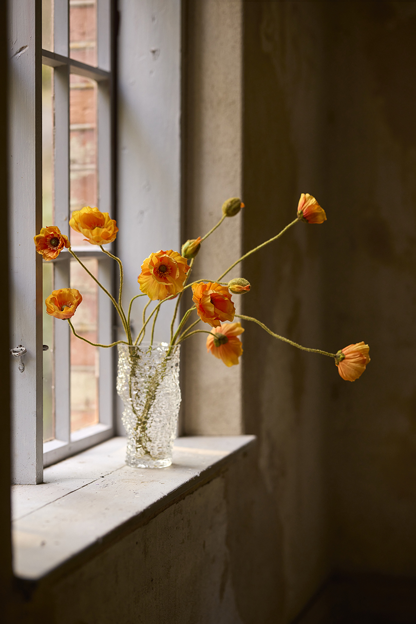 /images/imagebankSeasons/small/Mr Plant SS 2024/1171-35.jpg